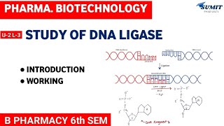 Study of DNA Ligase  Unit2 Pharmaceutical Biotechnology [upl. by Arimlede]