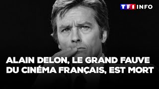 Alain Delon le grand fauve du cinéma français est mort [upl. by Hendrix948]