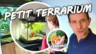 TERRARIUM POUR ENFANT [upl. by Akinnej]