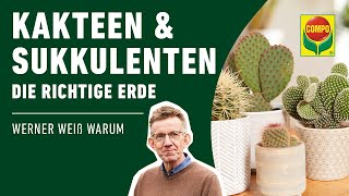 Die richtige Erde für Kakteen und Sukkulenten [upl. by Beverlie471]