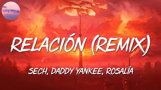 🎵 Sech Daddy Yankee  Relación Remix  Romeo Santos Bad Bunny Anitta Mix [upl. by Bashemath]