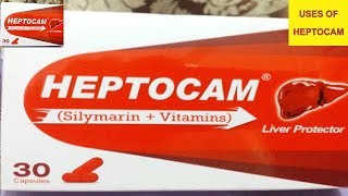 HEPTOCAM SilymarinVitaminCap For  Liver TonicFatty Liver Chronic Hepatitis amp Cirrhosis Liver [upl. by Clovis]