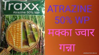 गन्ना मक्का की खरपटवार नियंत्रण। makka ganna । traxx herbicide। ATRAZINE 50wp। kisan agriculture [upl. by Whitman]