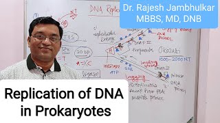 1 Replication of DNA in Prokaryotes New [upl. by Woehick]