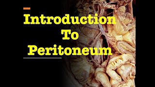 Introduction to Peritoneum [upl. by Wilhelmine]