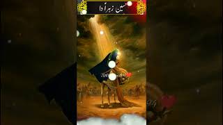 Hussain jannat ka badshah hai peerajmalrazaqadri shorts islamic S A Creation 7594 [upl. by Adair]