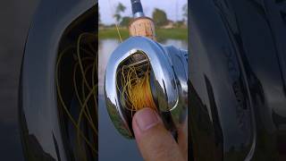 Antares DC 2021 ใจลอยเป็นเหตุ shot shots fishing fishingvideo shimanoreels ตกปลา shortvideo [upl. by Cyrilla]