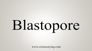 How To Say Blastopore [upl. by Morette]