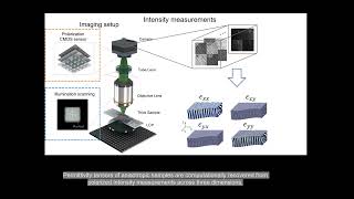 Tensorial Tomographic Fourier Ptychography  a new type of 3D microscope [upl. by Valerian]