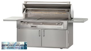 Alfresco 42quot Freestanding Gas Grill Cart in Stainless Steel WRotisserie Natural Gas Review [upl. by Britney]