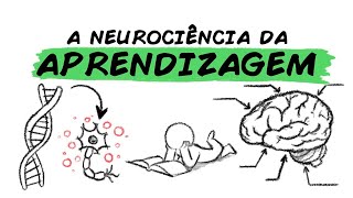 A NEUROCIÊNCIA DA APRENDIZAGEM [upl. by Ginelle]