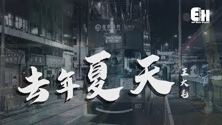 王大毛  去年夏天『還有什麼等待？還有什麼悲哀？』【動態歌詞Lyrics】 [upl. by Suidualc]