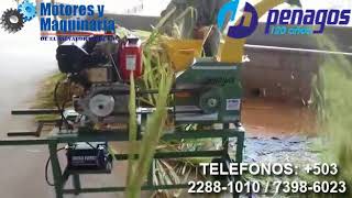 Picadora de Zacate PP600 PLUS PENAGOS EN REMOLQUE [upl. by Earas840]