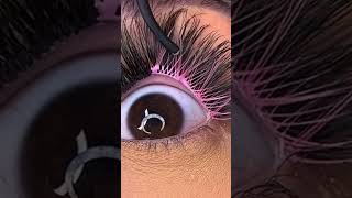 Lash Extensions Pink beauty [upl. by Namar]