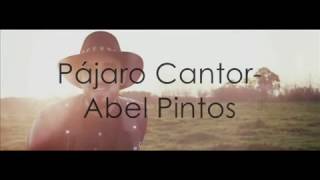 Abel pintos  Pájaro Cantor Letra [upl. by Patrizio]