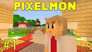 Pixelmon  Learning The Basics  Part 1 [upl. by Liggett]