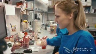 What does a microbiologist do  University of Tasmania [upl. by Manara]