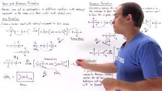 Imine and Enamine Formation [upl. by Turro422]