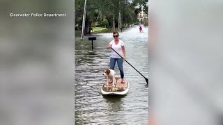 Hurricane Idalia causes flooding in Clearwater Florida [upl. by Alika]