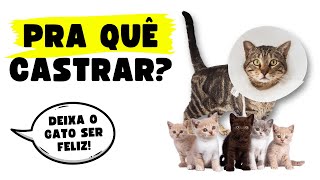 SERÁ QUE DEVEMOS CASTRAR OS ANIMAIS [upl. by Phionna]