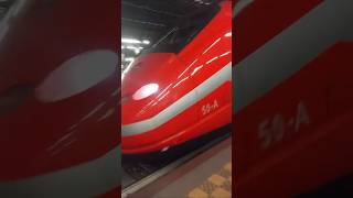 Frecciarossa in arrivo a rho fiera Milano [upl. by Dracir744]