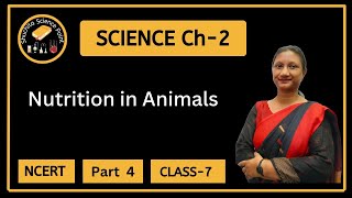 Class 7  Science  Chapter 2  Nutrition in Animals  NCERT  Part 4 [upl. by Groome]