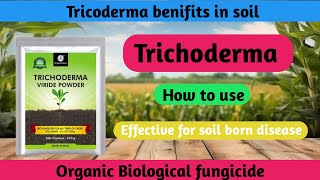 Trichoderma fungicide  trichoderma use in agriculture  ट्रायकोर्डमा जैविक बुरशीनाशक [upl. by Alex]