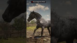 Top 5 Best Fastest amp MOST Rare Horses  RDR 2 shorts rdr2 rdr2guide [upl. by Eimareg964]