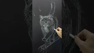 黑板粉筆畫 ｜ 動物寵物畫｜貓｜Chalkboard drawing sketching art drawing chalkart drawingtutorial blackboard [upl. by Kisung]