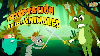 Adaptación De Los Animales  ¿Cómo Funciona La Adaptación En Los Animales  Ciencia Para Niños [upl. by Eilyab307]