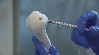 Chicago scientists develop revolutionary cartilage regeneration technology [upl. by Goodill73]