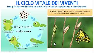 IL CICLO VITALE DEGLI ESSERI VIVENTI [upl. by Hildie389]