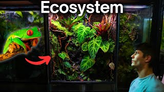 I Made a Jungle Terrarium For a Tiny Frog Here’s How [upl. by Arraik]