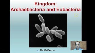 Kingdom Archaebacteria and Eubacteria [upl. by Japheth]