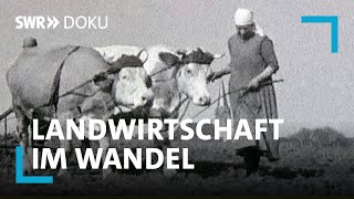 100 Jahre Landwirtschaft im Südwesten  Wie die Technik aufs Land kam  SWR Doku [upl. by Howe186]