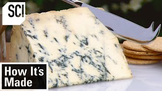 How Its Made Blue Stilton Cheese [upl. by Disini949]