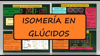 ISOMERÍA en Glúcidos  Carbohidratos  Monosacáridos Isomeros DE FUNCIÓN ÓPTICOS y ESTEREOISÓMEROS [upl. by Clarance]