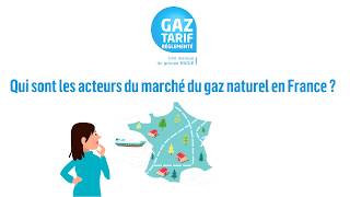 Qui sont les acteurs du marché du gaz naturel en France  Gaz Tarif Réglementé [upl. by Tawnya715]