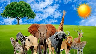 Top 30 Wild amp Farm Animals Video  Animals Stampede Video  Animals Running Video [upl. by Samella]