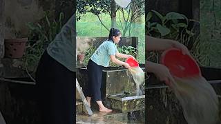 I clean the water tank for the children shorts adventure [upl. by Levania]