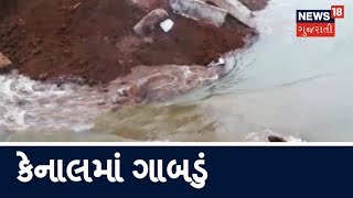 Shedhi canal માં ગાબડું Kheda  News18 Gujarati [upl. by Melisent]