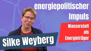 Silke Weyberg LEE Niedersachsen Bremen e V Energiepolitischer Impuls [upl. by Meadows991]