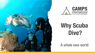 Why Scuba Dive  Camps International [upl. by Cirtap871]