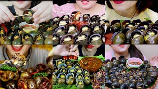 ASMR EATING GIANT SNAILS ESCARGOT APPLES SNAILS TỔNG HỢP CLIP ĂN ỐC BƯƠU HẤP XẢ ỚT [upl. by Legnaleugim428]