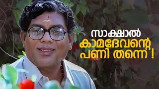 സാക്ഷാൽ കാമദേവന്റെ പണി തന്നെ   Malayalam Comedy Scenes  Jagathy Comedy Scenes [upl. by Tra]