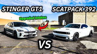 KIA STINGER GT1 CALLS OUT MY SCATPACK CHALLENGER 392 A MUST WATCH RACE [upl. by Norene]