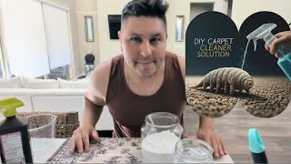 DIY CARPET CLEANER SOLUTIONHOMEMADE DISINFECTANT [upl. by Parsons]