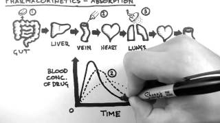 Pharmacokinetics 2  Absorption [upl. by Alac]