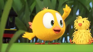 THE GARDEN  Wheres Chicky Funny Chicky  Cartoon Collection in English for Kids  New episodes [upl. by Urania]