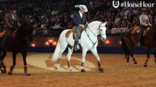 Portuguese Lusitanos at Olympia Horse Show [upl. by Aleihs]